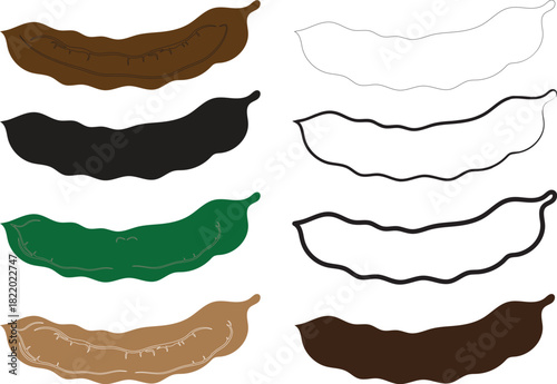 Tamarind pods illustration showing different drawing stages, from colored to outline
