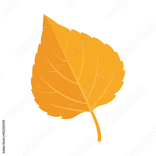 Yellow Aspen Leaf Vector Illustration, Autumn Aspen Leaf Botanical Design, Golden Aspen Leaf Flat Foliage Graphic