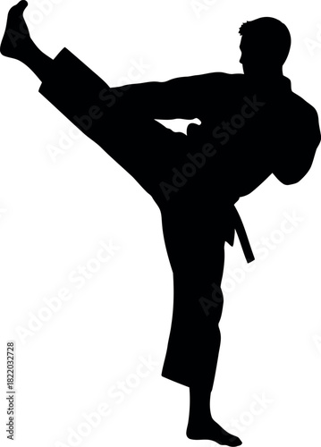 Silhouette of martial artist performing high kick