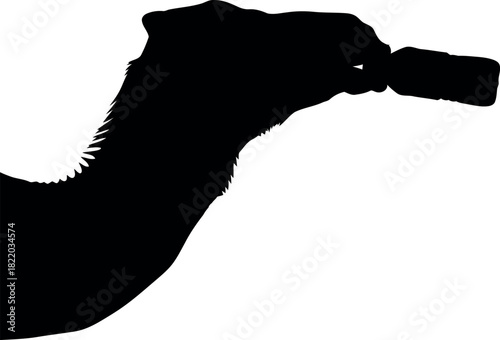 Silhouette hand holding small object