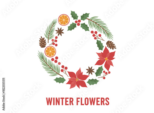 A collection of stunning winter ornamental plants displayed on a white background, featuring a bundle of traditional natural Christmas decorations rendered in a colorful botanical vector illustration