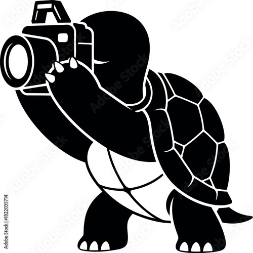 Turtle photographer capturing moment
