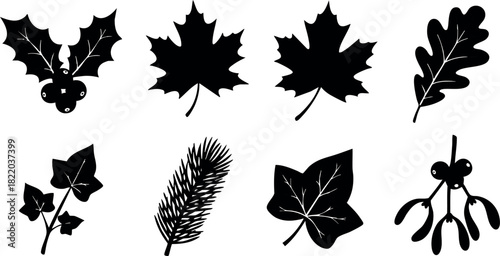 Black silhouette various autumn leaves berry branches isolated on white background vector illustration