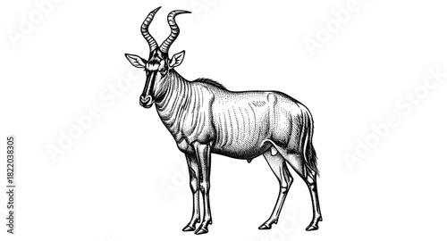 Detailed black and white engraving of antelope with majestic horns