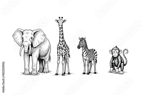 Detailed black and white sketches of elephant, giraffe, zebra, and monkey in line
