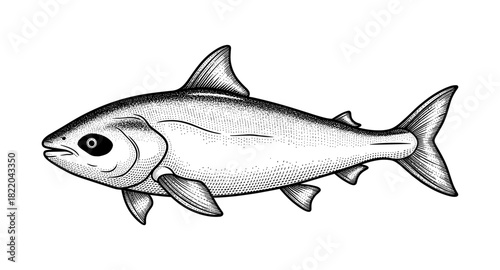 Detailed black and white fish drawing with vintage style and intricate patterns