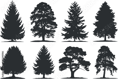 Set of various tree silhouettes, including pine, oak, and spruce