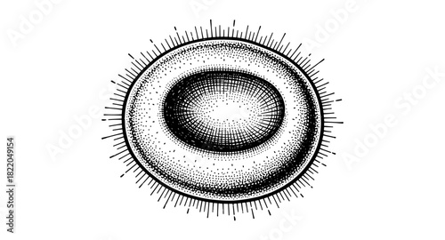 Detailed black and white engraving of a single cell with radiating lines