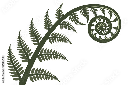 Stylized illustration of a dark green fern frond unfurling in a classic spiral shape, known as a fiddlehead