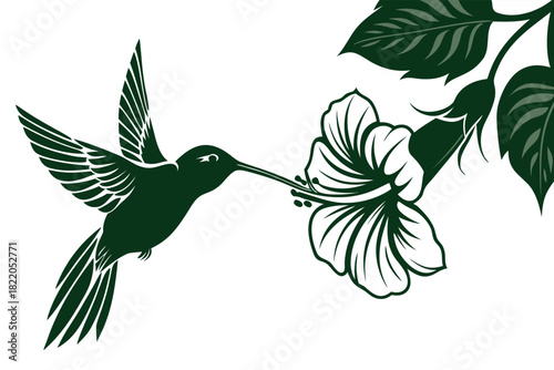 Stylized dark green silhouette vector illustration of a hummingbird in flight feeding nectar from a large tropical hibiscus flower