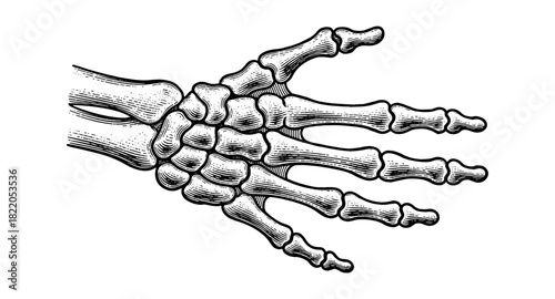 Detailed vintage black and white hand skeleton design artwork