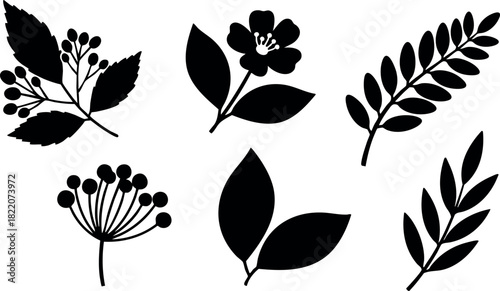 Black silhouette leaves and floral elements vector design simple nature icons illustration