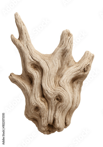 Weathered driftwood with a bleached finish and gnarled texture.