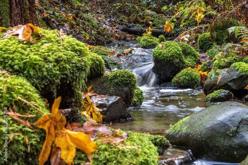 waterfall in autumn