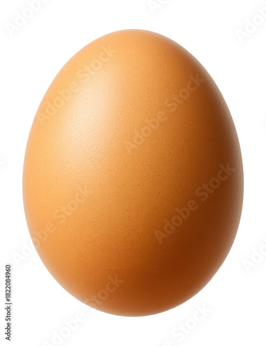 Smooth, oval brown egg with a small pointed end.