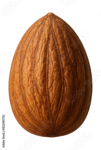 Whole almond in a hard, textured shell with a tapered end.