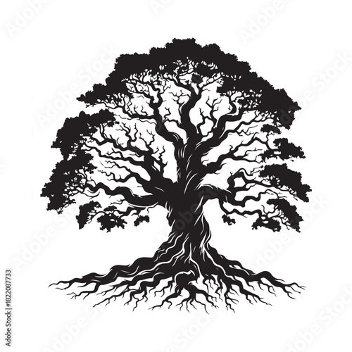 Majestic ancient oak tree silhouette with sprawling roots and dense canopy