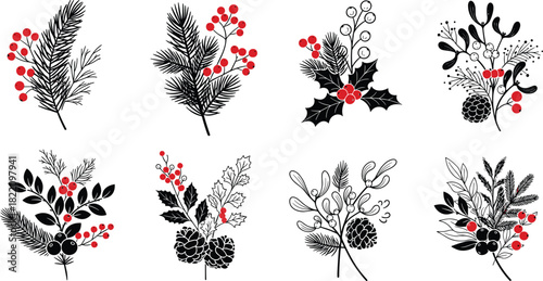 Hand drawn winter botanical foliage with pine branches, holly leaves, red berries, mistletoe and festive evergreen illustration elements