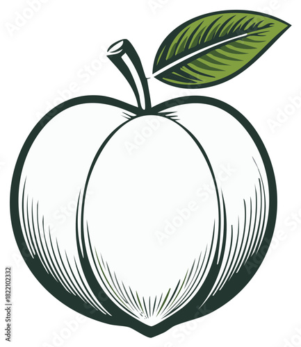 Ripe peach fruit with leaf in illustrative design displaying freshness and organic flavor for healthy diet