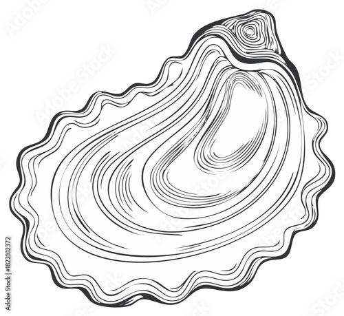 Elegant Line Art Illustration of an Oyster Shell with Detailed Texture and Ruffled Edge