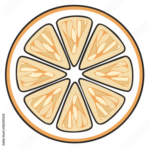 Illustration of a Cut Citrus Fruit, Showing Segments and Rind in Orange and Beige Tones