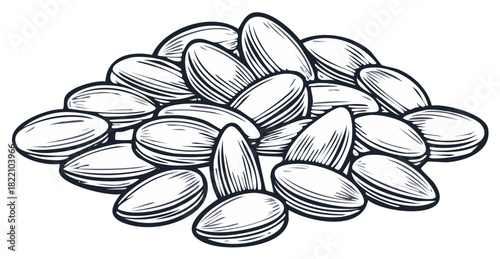 Pile of stylized almond nuts with hatching details, black and white illustration