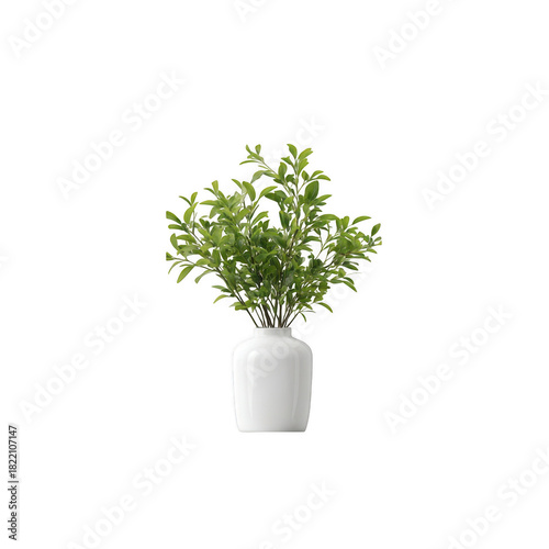 Green plant in white vase isolated on transparent background