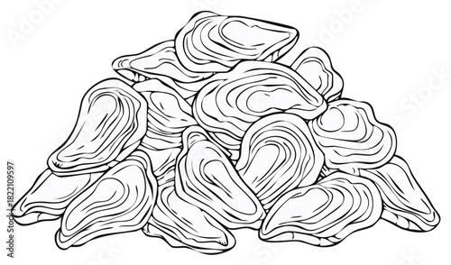 Black and white line art vector of a large pile of fresh oysters or clams shellfish seafood illustration
