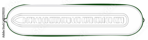 Cross Section of a Cucumber Showing Seeds and Flesh