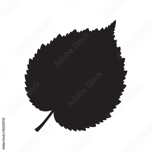 Hazel Leaf Silhouette Vector, Flat Hazel Tree Leaf Black Illustration, Hazel Leaf Botanical Shape Design