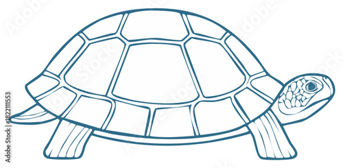 Line Art Illustration of a Turtle, Outline Style, Minimalist, Animals, Reptile, Ocean, Underwater, Sea Life