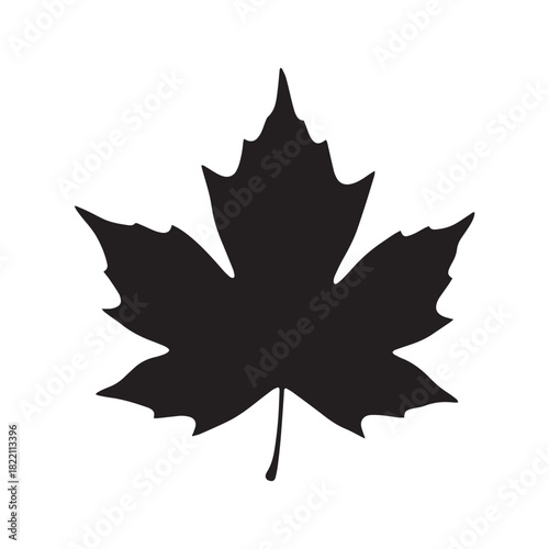 Sycamore Leaf Silhouette Vector, Flat Sycamore Tree Leaf Black Illustration, Sycamore Leaf Botanical Shape Design