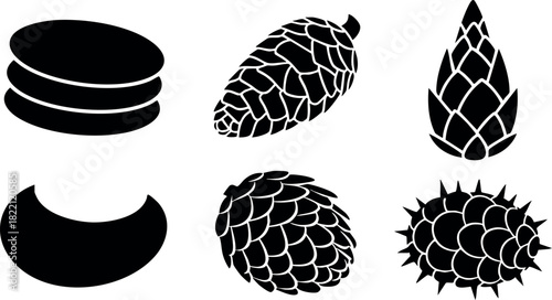 Pine cones various shapes silhouette vector illustration black and white isolated natural design