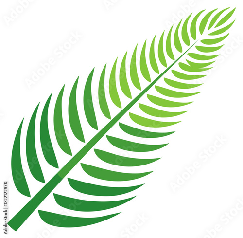 Stylized green tropical palm frond vector illustration symbol of summer and nature