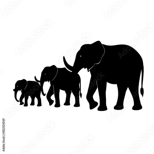 elephants on the white background