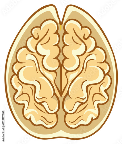 Stylized Illustration of a Walnut Half Resembling a Brain