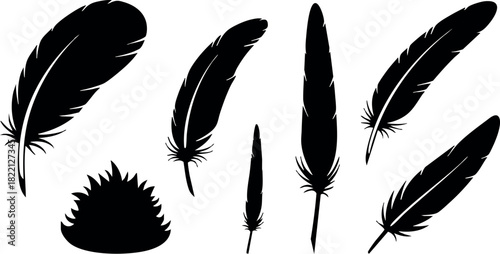 Black silhouette feather vector collection natural wing quill shapes design elements