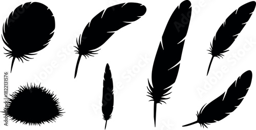 Black silhouette feather vector set different shapes and styles isolated on white background simple design collection