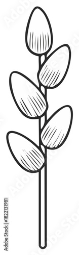 Black and White Line Art Pussy Willow Stem with Catkins for Spring Design