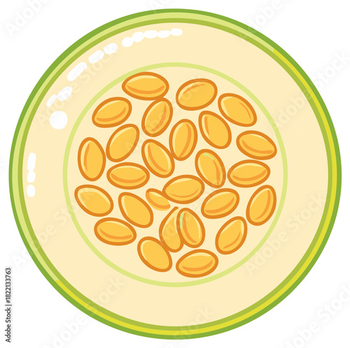 Cross Section Melon with Seeds inside Fresh Fruit Design Illustration