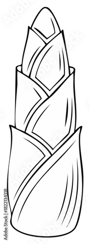 Detailed black and white line art drawing of a fresh organic bamboo shoot vegetable
