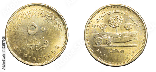 Wallpaper Mural Egypt fifty piastres coin on a white isolated background Torontodigital.ca