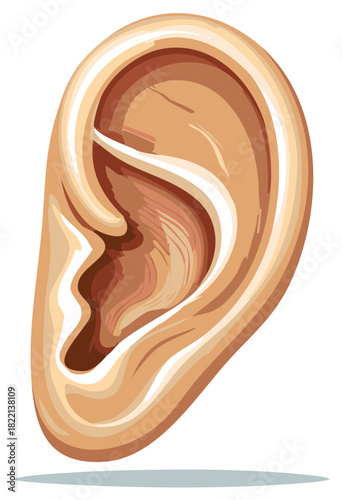 Stylized vector illustration of a human ear for anatomy, audiology, and hearing concepts