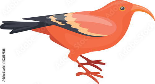 Scarlet honeycreeper cartoon icon. Tropical color bird