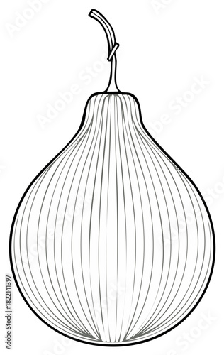 Simple line art illustration of a hanging dried bottle gourd or calabash