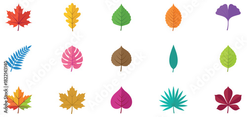 Multicolored autumn leaves in rich red, orange, and yellow hues isolated on a white background. Bright seasonal decor perfect for banners, prints, and fall-themed designs. Vector Illustration.