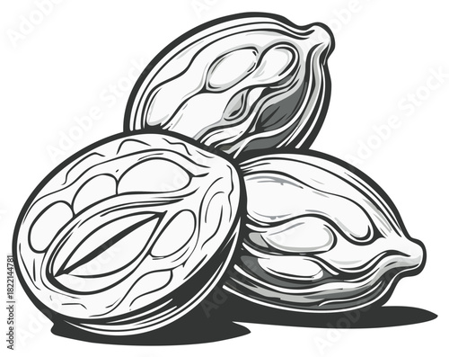 Cardamom Pods Spice Illustration White Black Culinary Flavoring Herbs