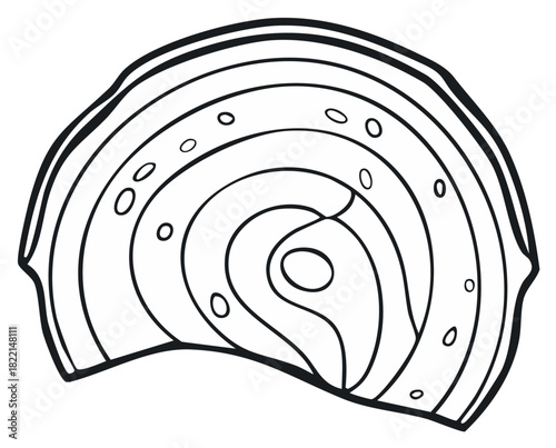 Elegant Abalone Shell Outlines with Concentric Shapes and Minimalist Detailing Black and White