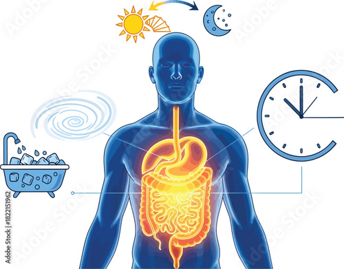 Biohacking & Longevity: Human Optimization & Wellness Science Illustration