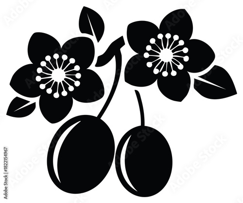 Monochrome floral branch design with blossoms, leaves, and two plums